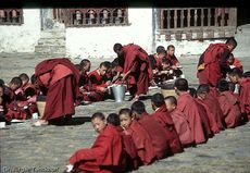 1113_bhutan_1994__Gangtey Gompa in Wangdiphodang.jpg